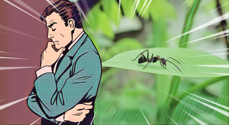 Provérbios de Salomão